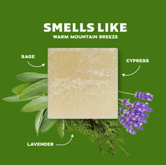 Dr Squatch Natural Soap ALPINE SAGE