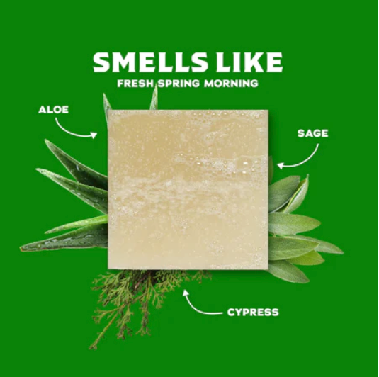 Dr Squatch Natural Soap COOL FRESH ALOE